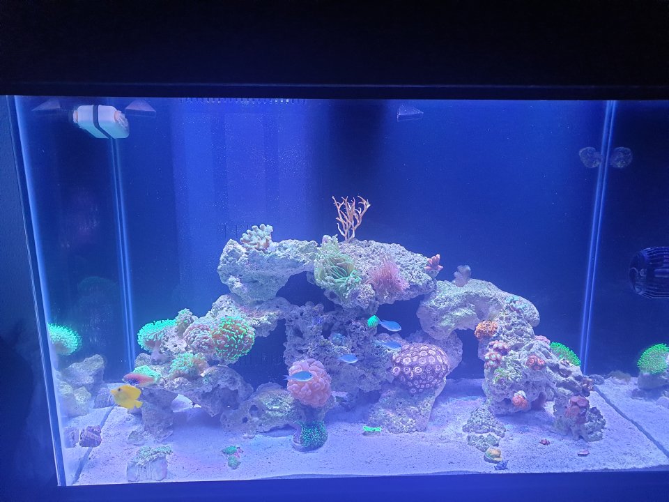 20220813_210318.jpg
