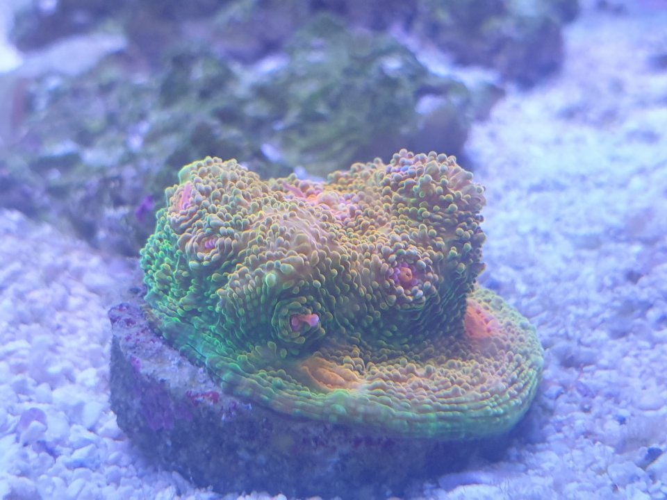 20220813_210532.jpg