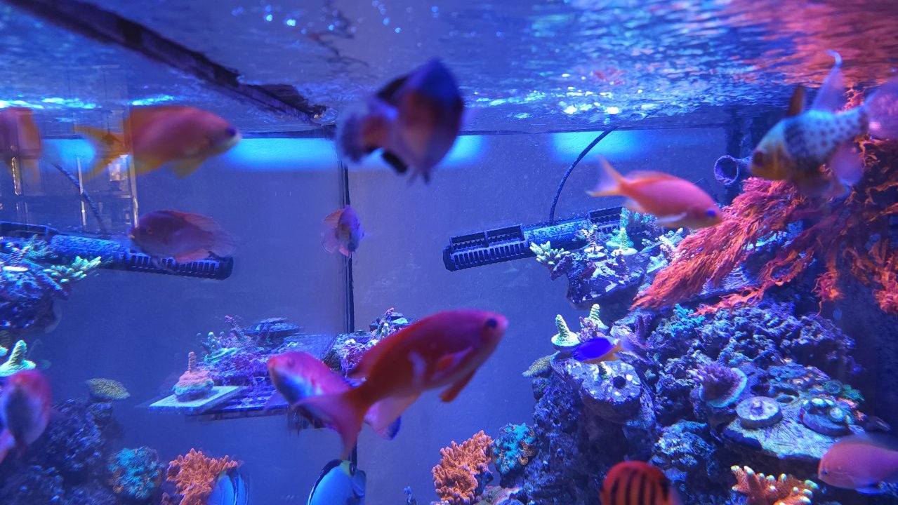 20220820_152618.jpg