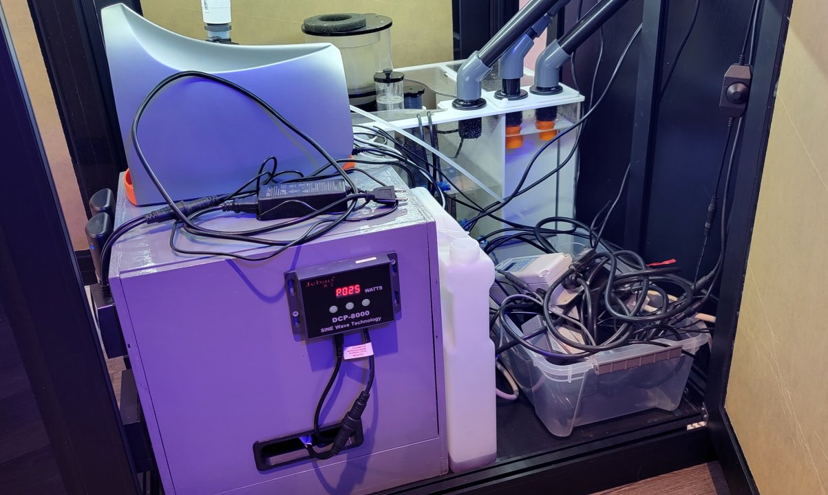 20220820_163149.jpg