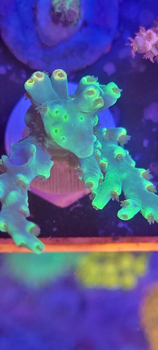 20220824_183119.jpg