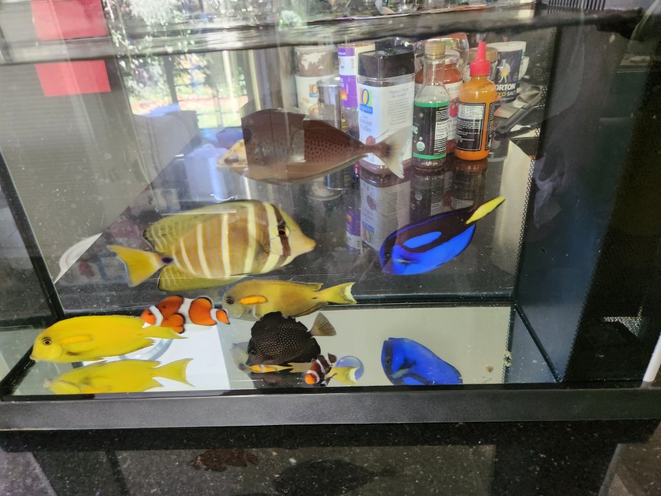 20220906_162253.jpg