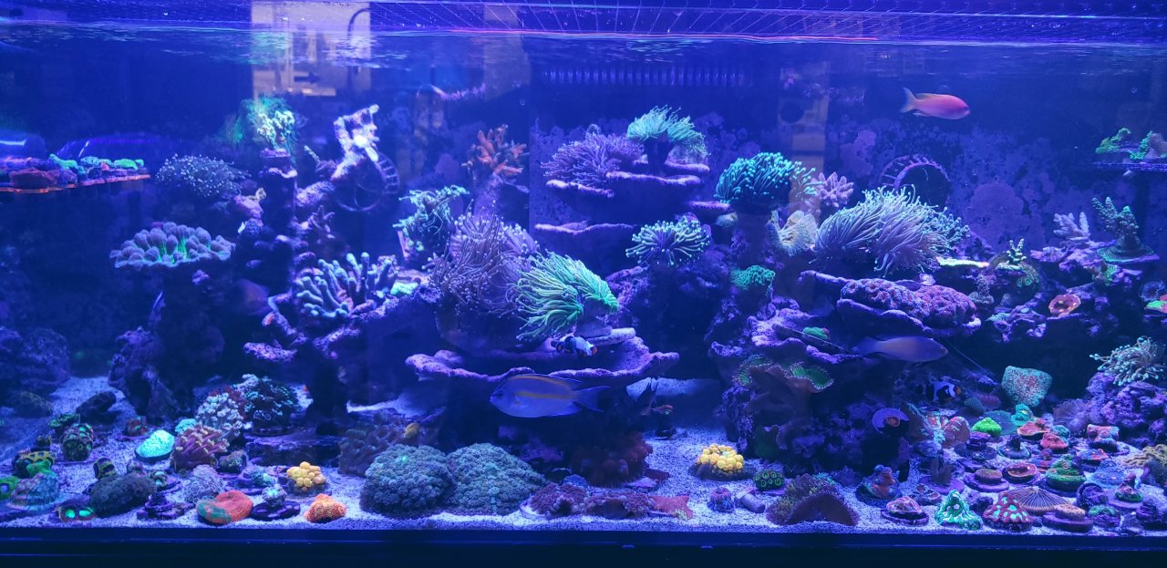 20220916_181853.jpg