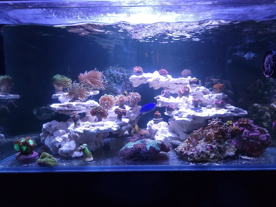 20220925_113939.jpg