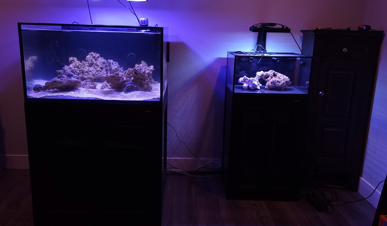 20220930_200349.jpg