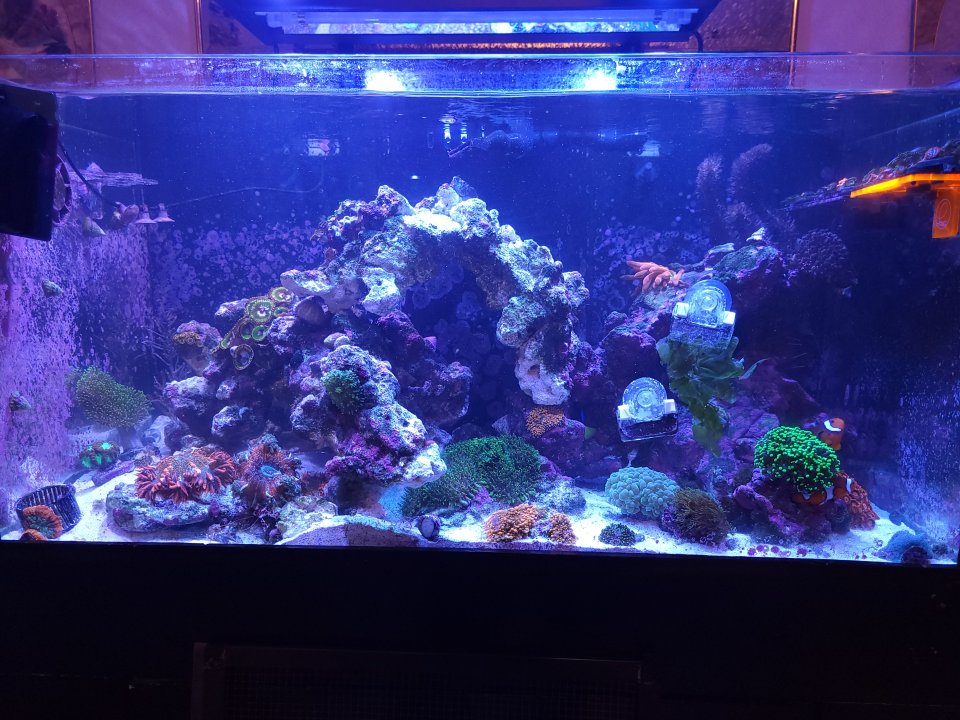20221001_190020.jpg