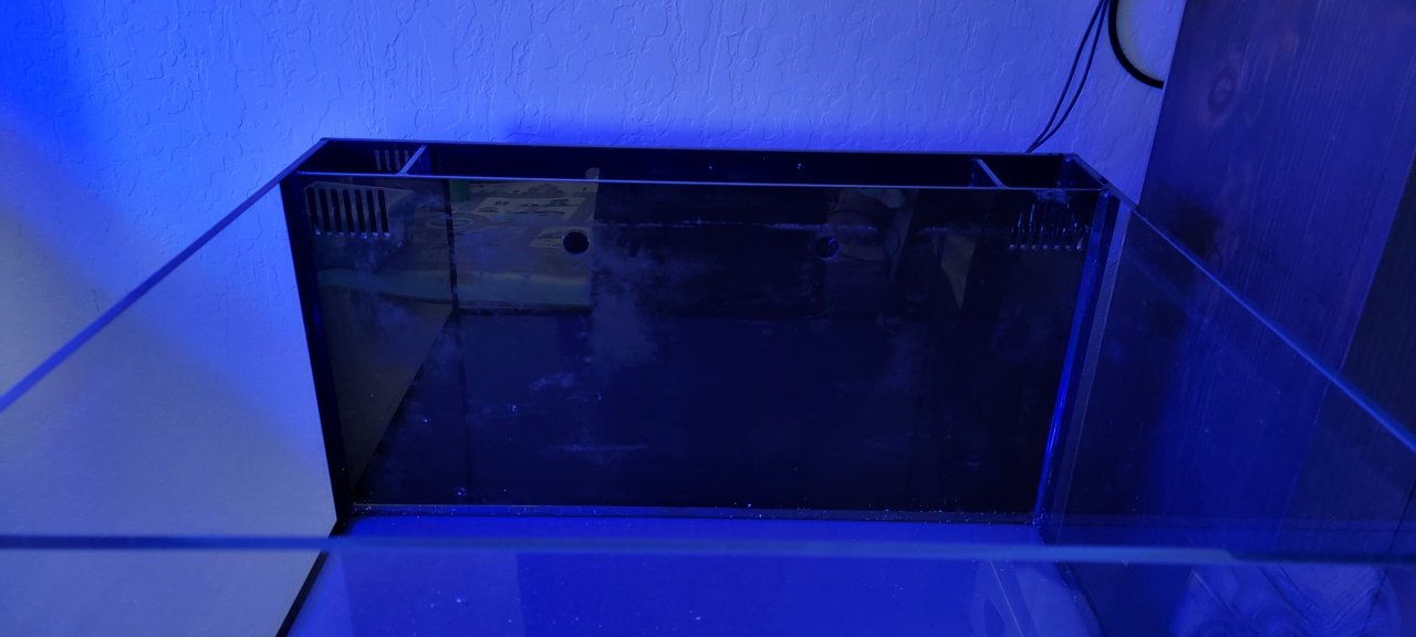 20221002_121613.jpg