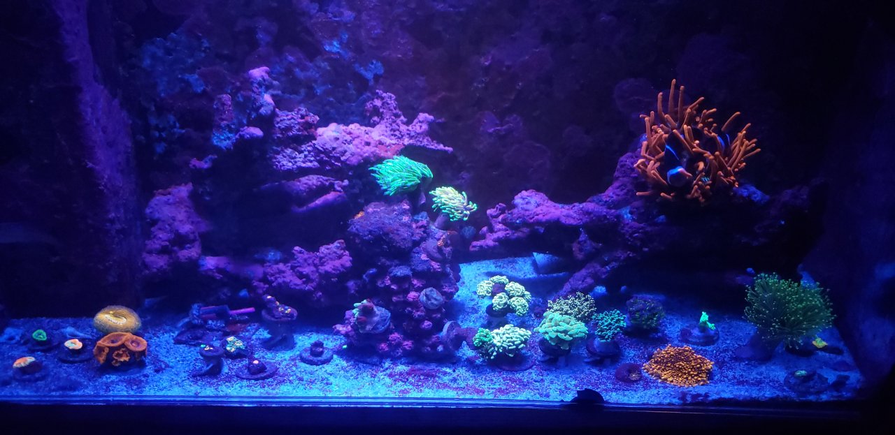 20221011_214404.jpg