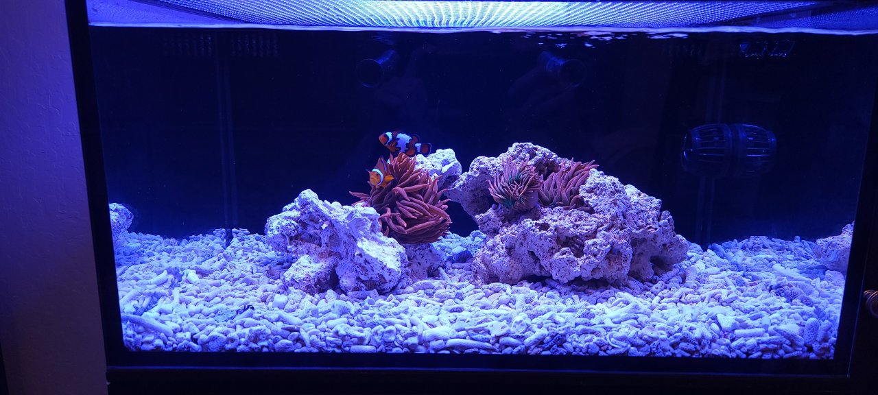 20221028_204133.jpg