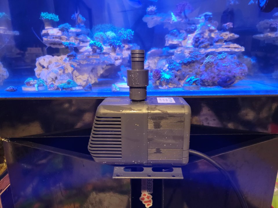 20221031_220252.jpg