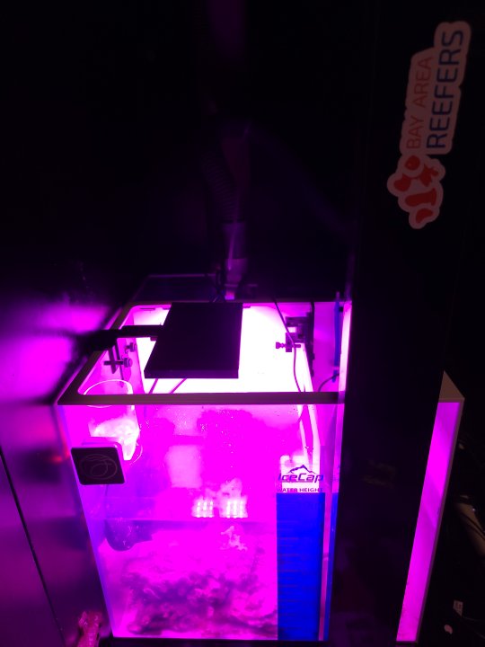 20221106_205704.jpg