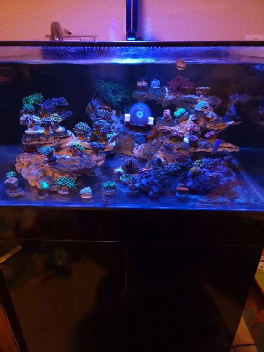 20221106_212915.jpg