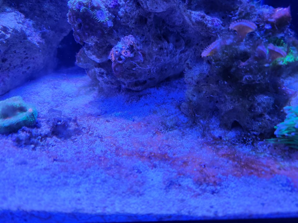 20221110_193427.jpg