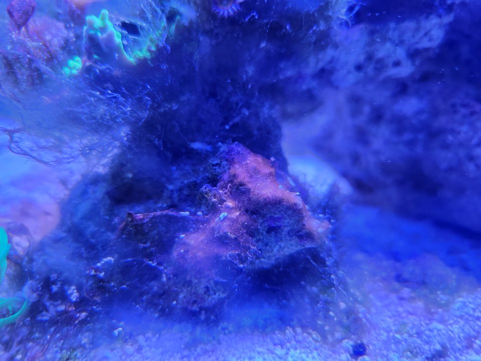 20221110_193445.jpg