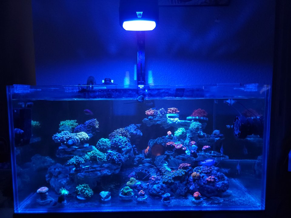 20221117_202905.jpg