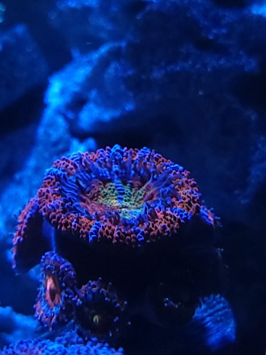 20221118_212639.jpg