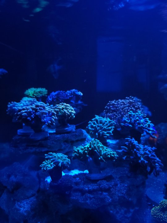 20221118_212731.jpg