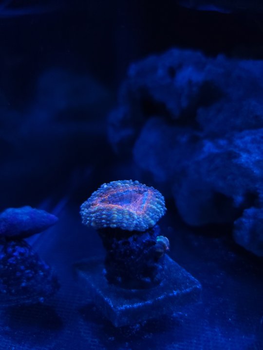 20221118_212800.jpg