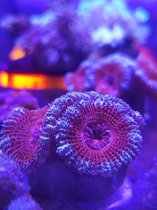 20221125_143822.jpg