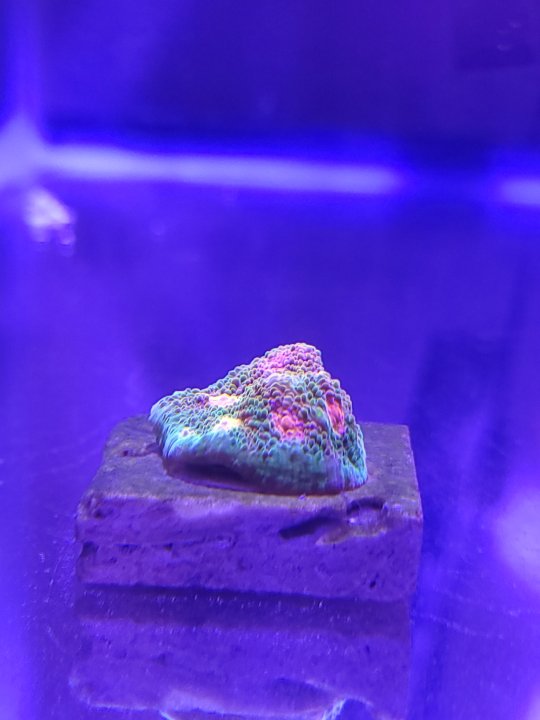 20221125_144649.jpg