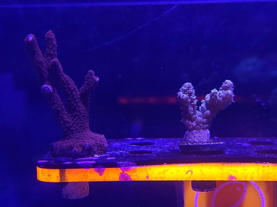 20221125_144752.jpg