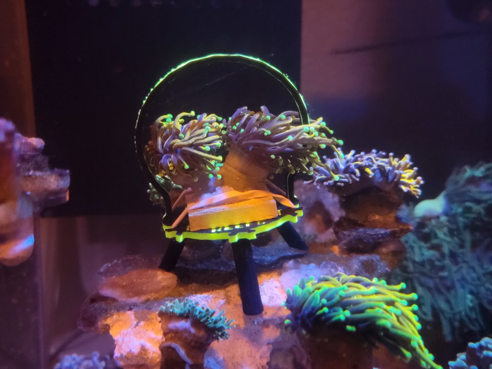 20221207_214358.jpg