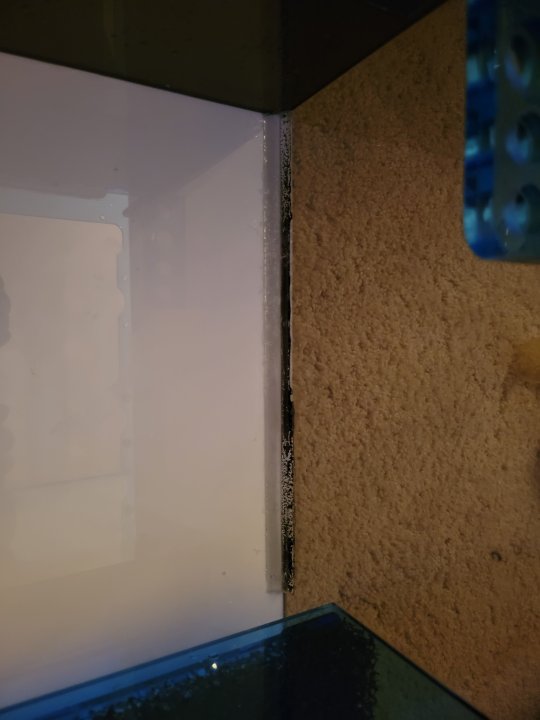 20221208_175018.jpg