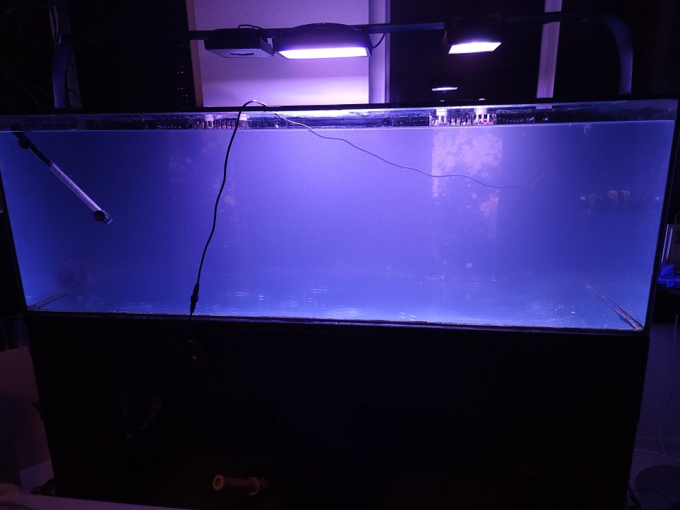 20221208_193914.jpg