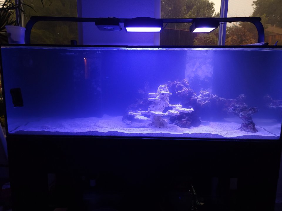 20221210_133440.jpg
