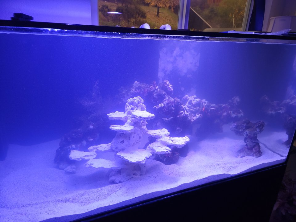 20221210_133450.jpg