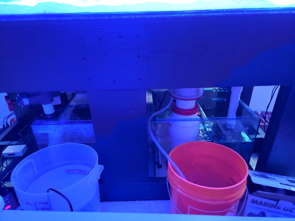 20221210_135202.jpg