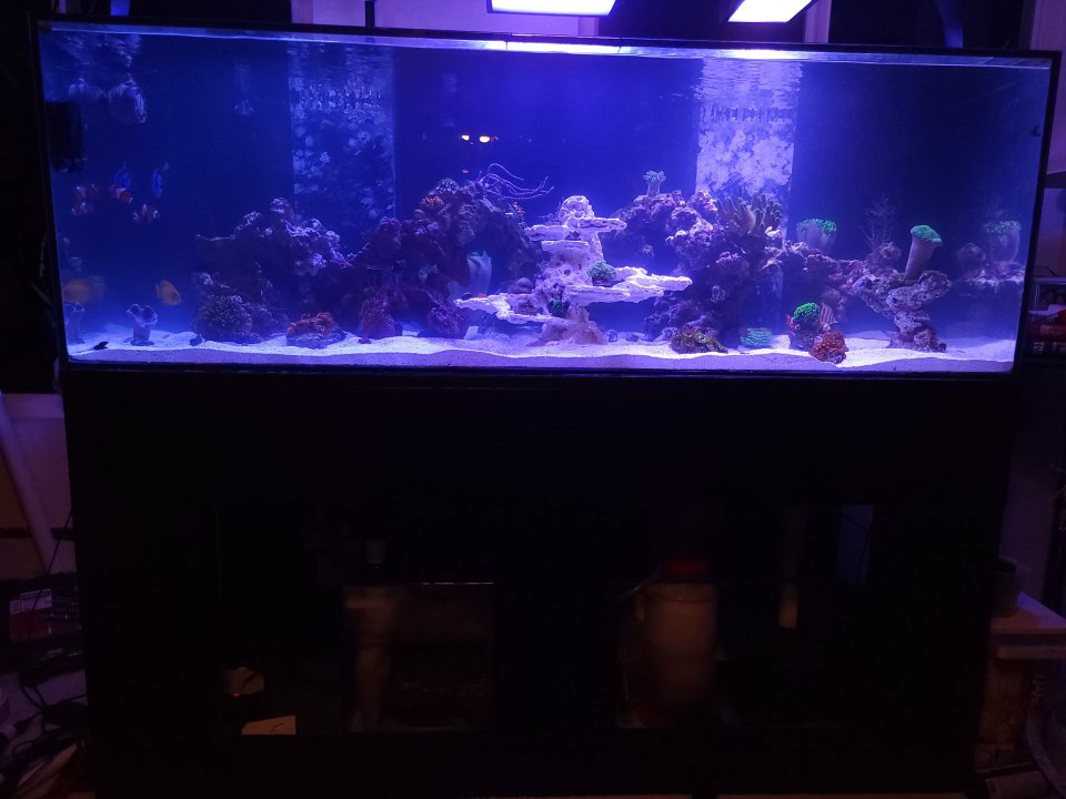 20221210_220950.jpg