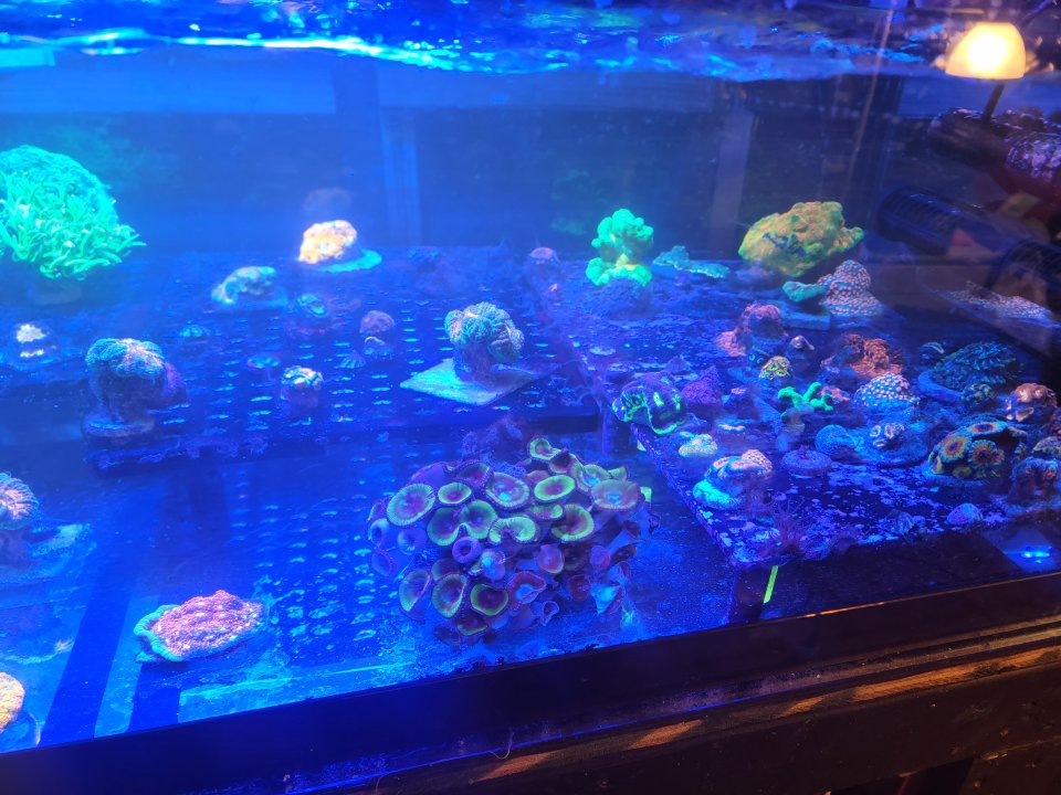 20221211_200227.jpg