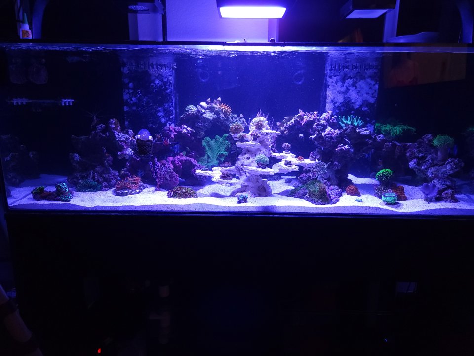 20221212_194912.jpg