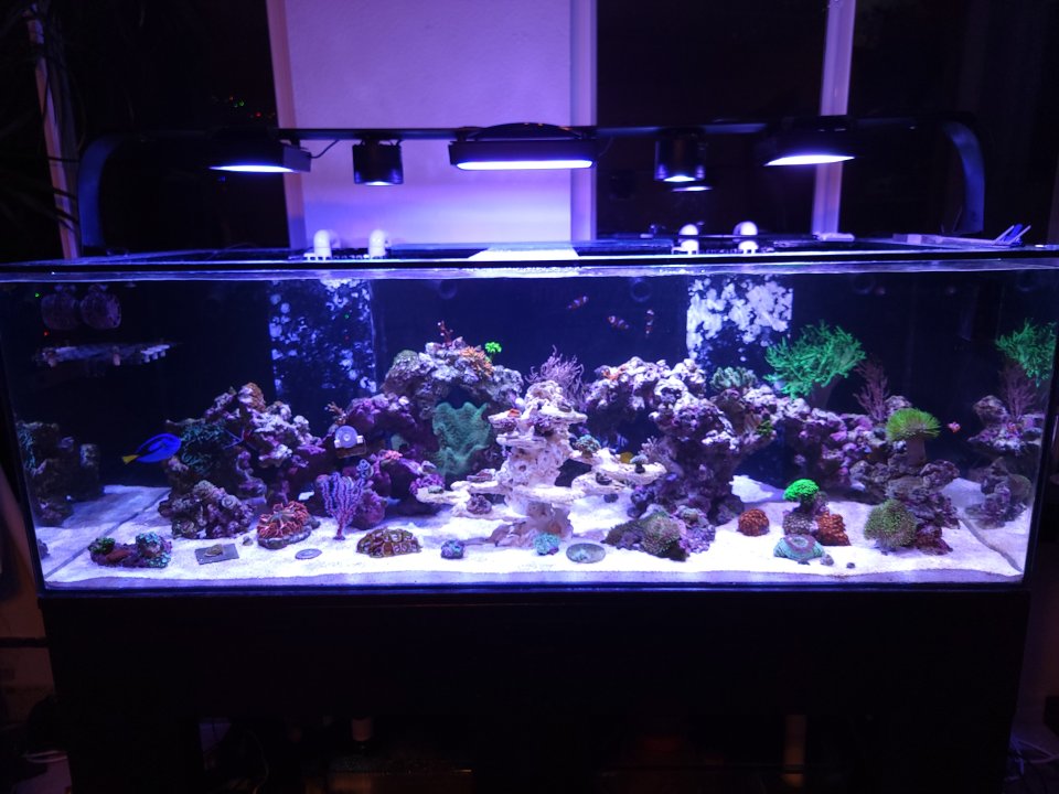 20221219_170449.jpg