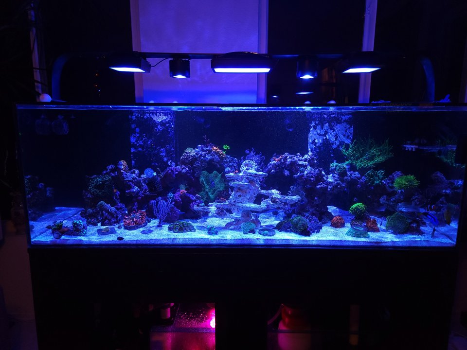 20221220_202435.jpg