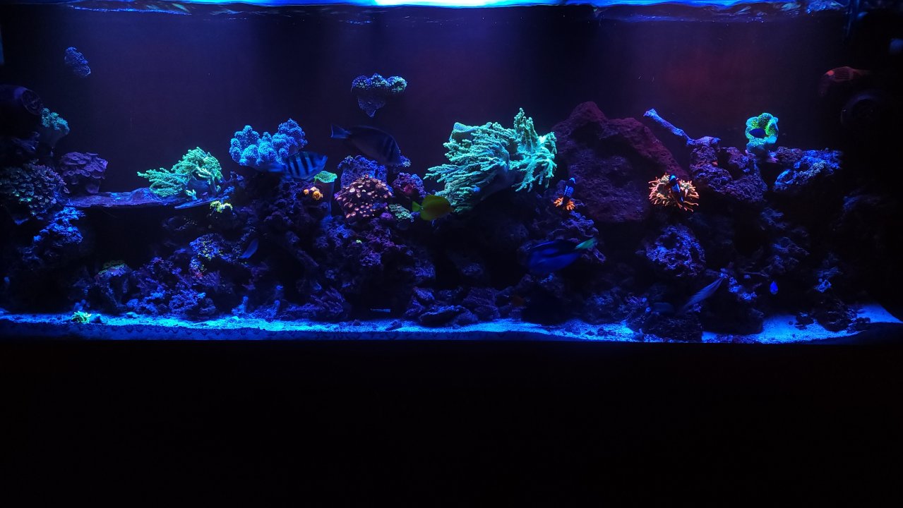 20221221_151159.jpg