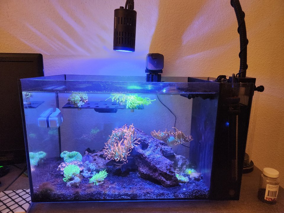 20221225_123139.jpg