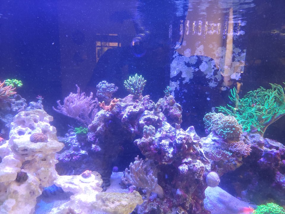 20221228_123134.jpg