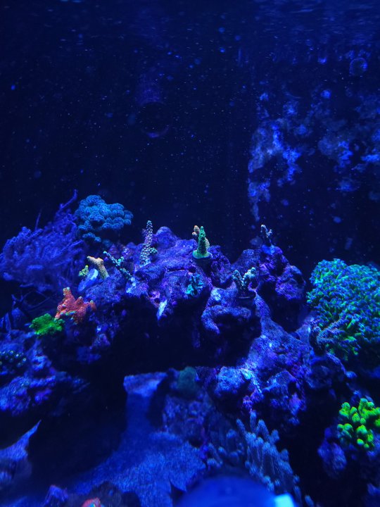 20230104_201157.jpg