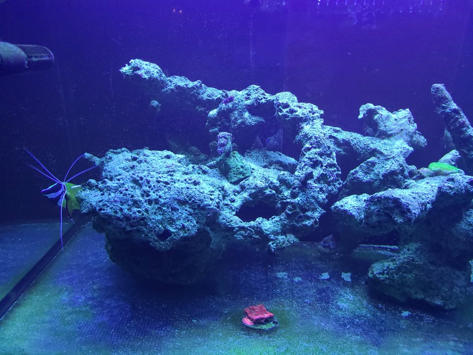 20230105_210502.jpg