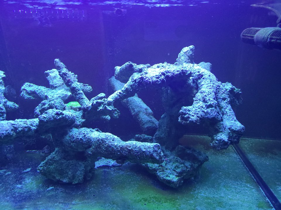 20230105_210513.jpg