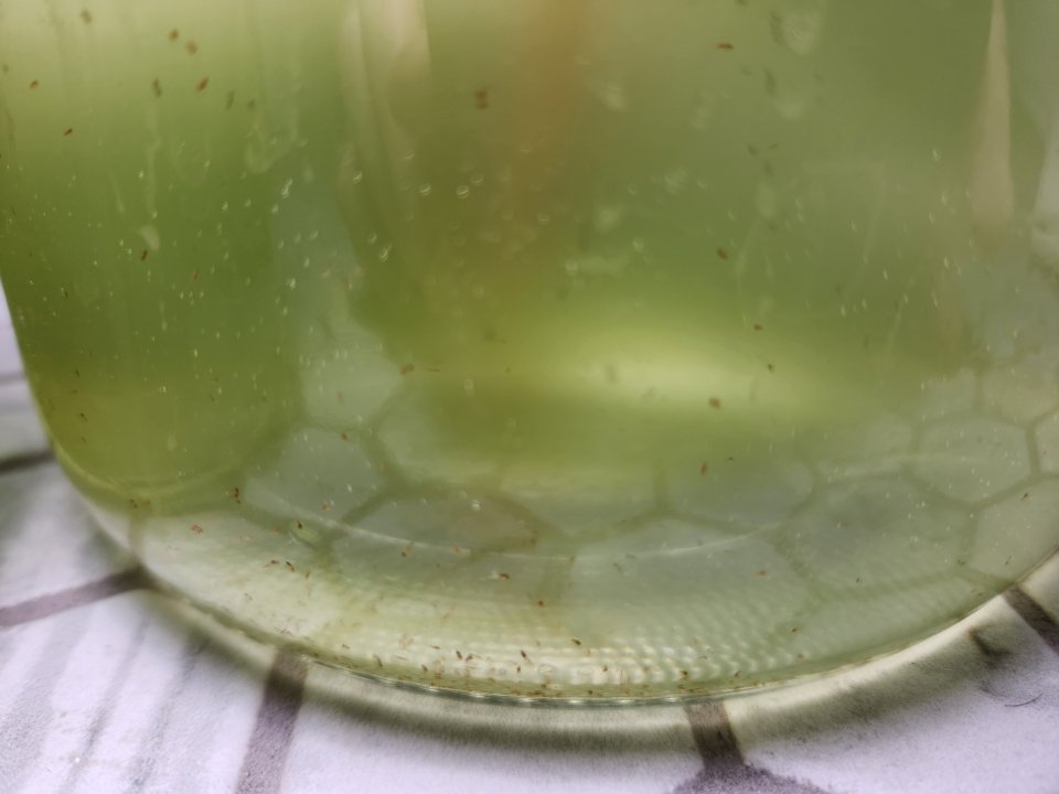 20230107_142431.jpg