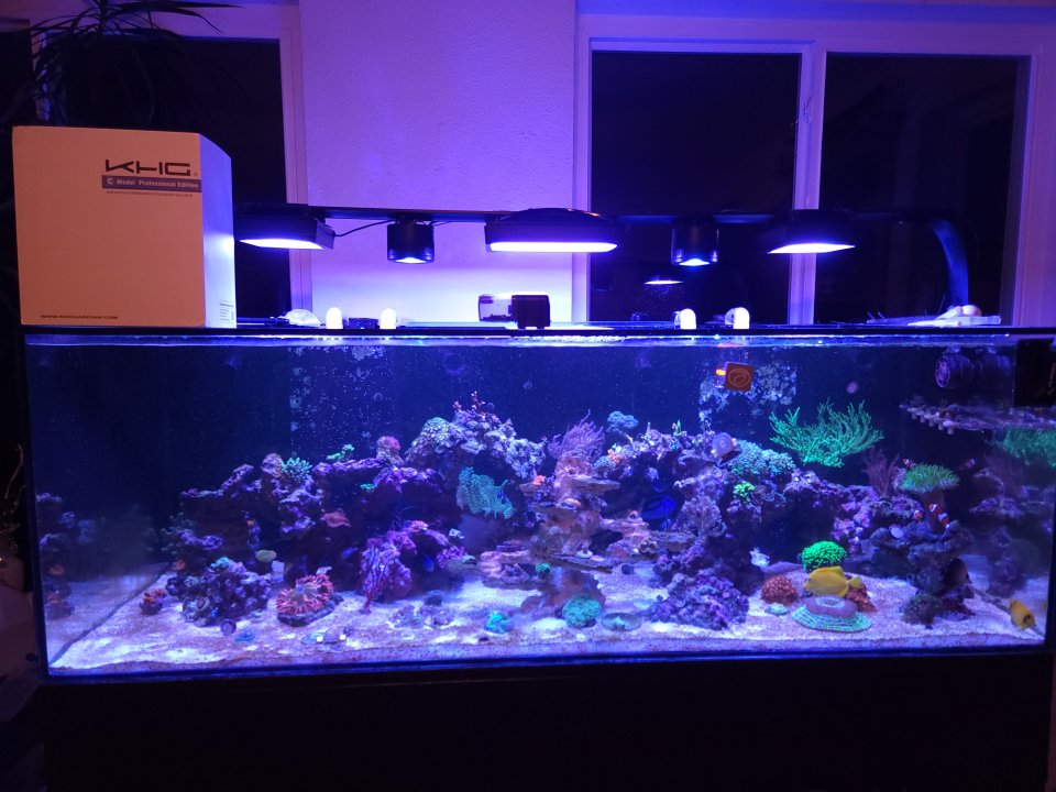 20230108_181156.jpg