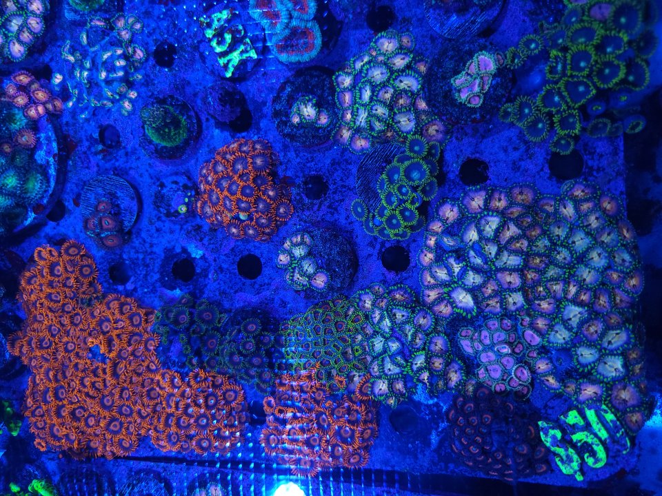 20230109_111754.jpg