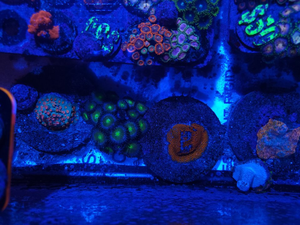 20230109_111806.jpg
