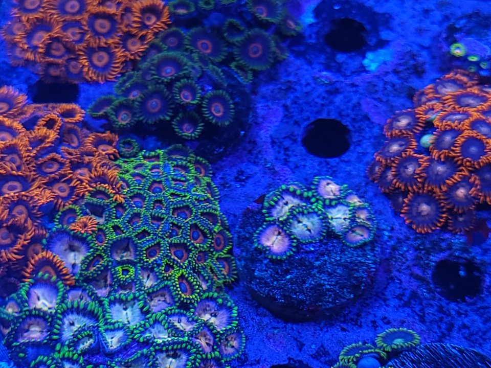 20230109_111911.jpg