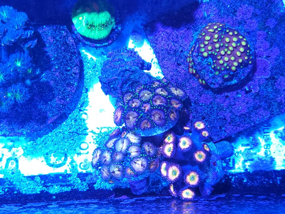 20230109_112030.jpg