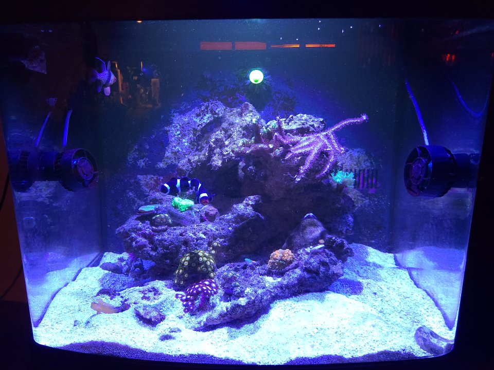 20230126_175540.jpg
