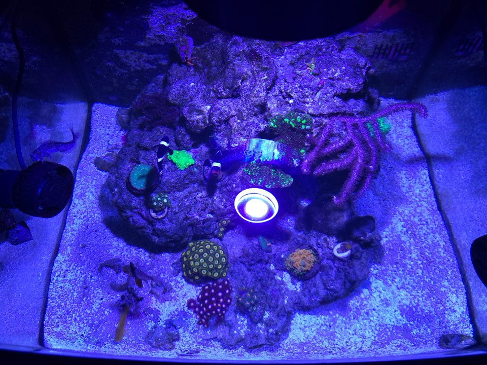 20230126_180134.jpg